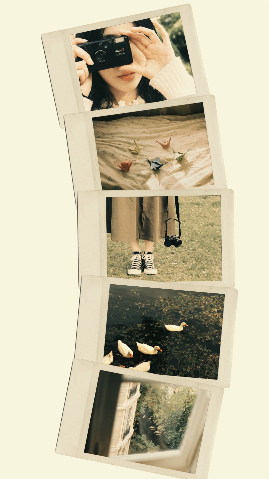 5 frame polaroid 