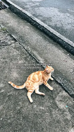 dunia yang nanti 