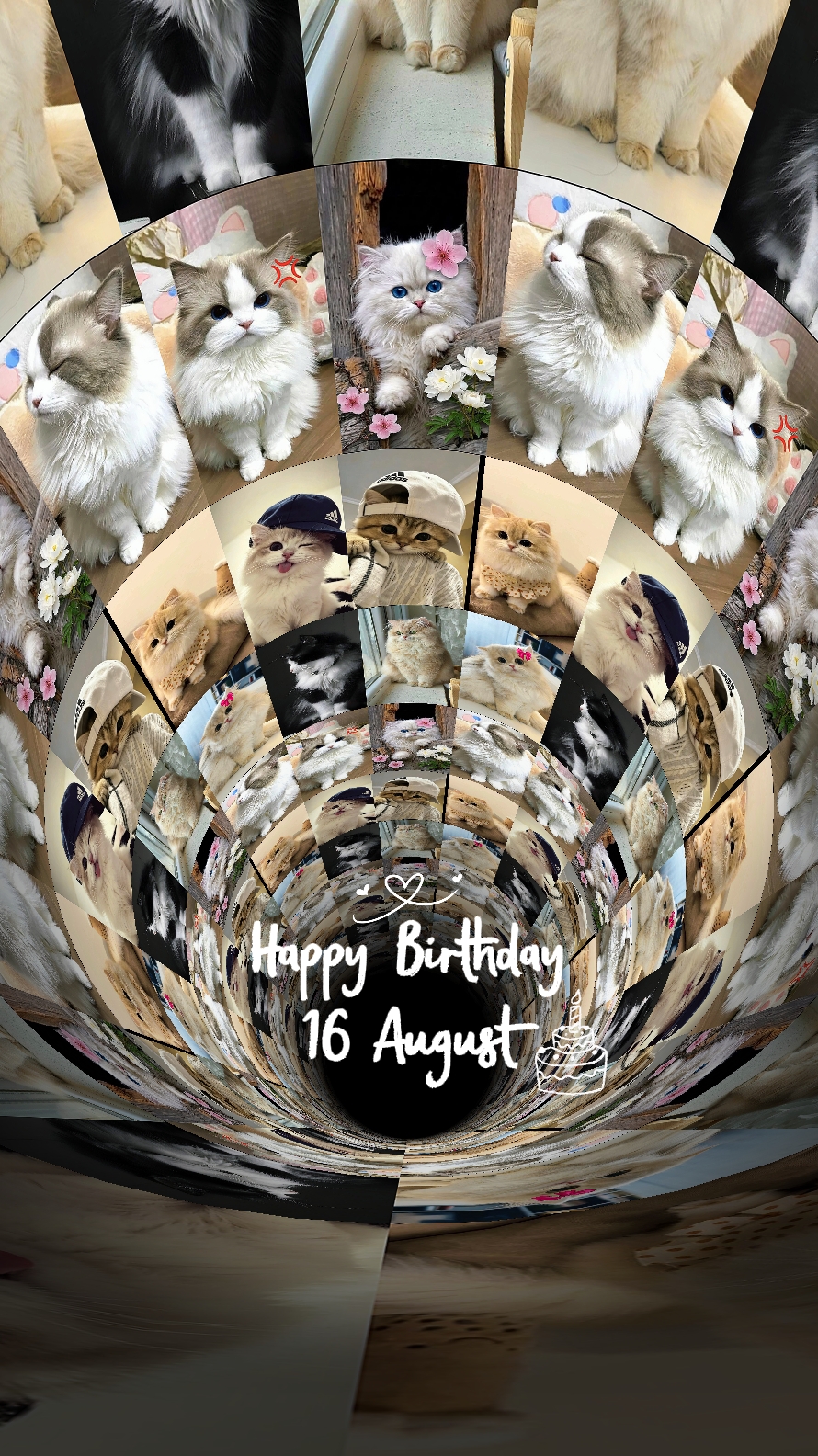 birthday16 august
