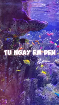 TỪ NGÀY EM ĐẾN🫣