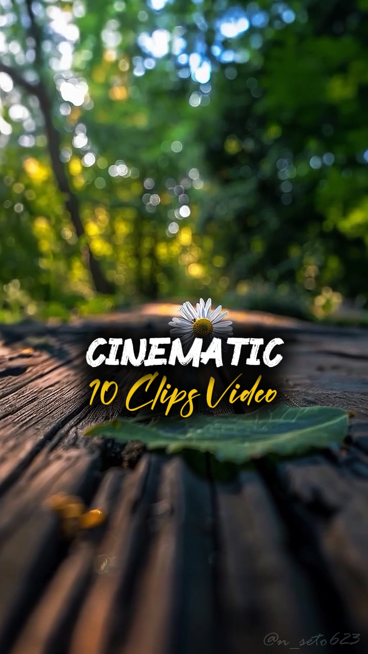 VÍDEO DE 10 CLIPES 