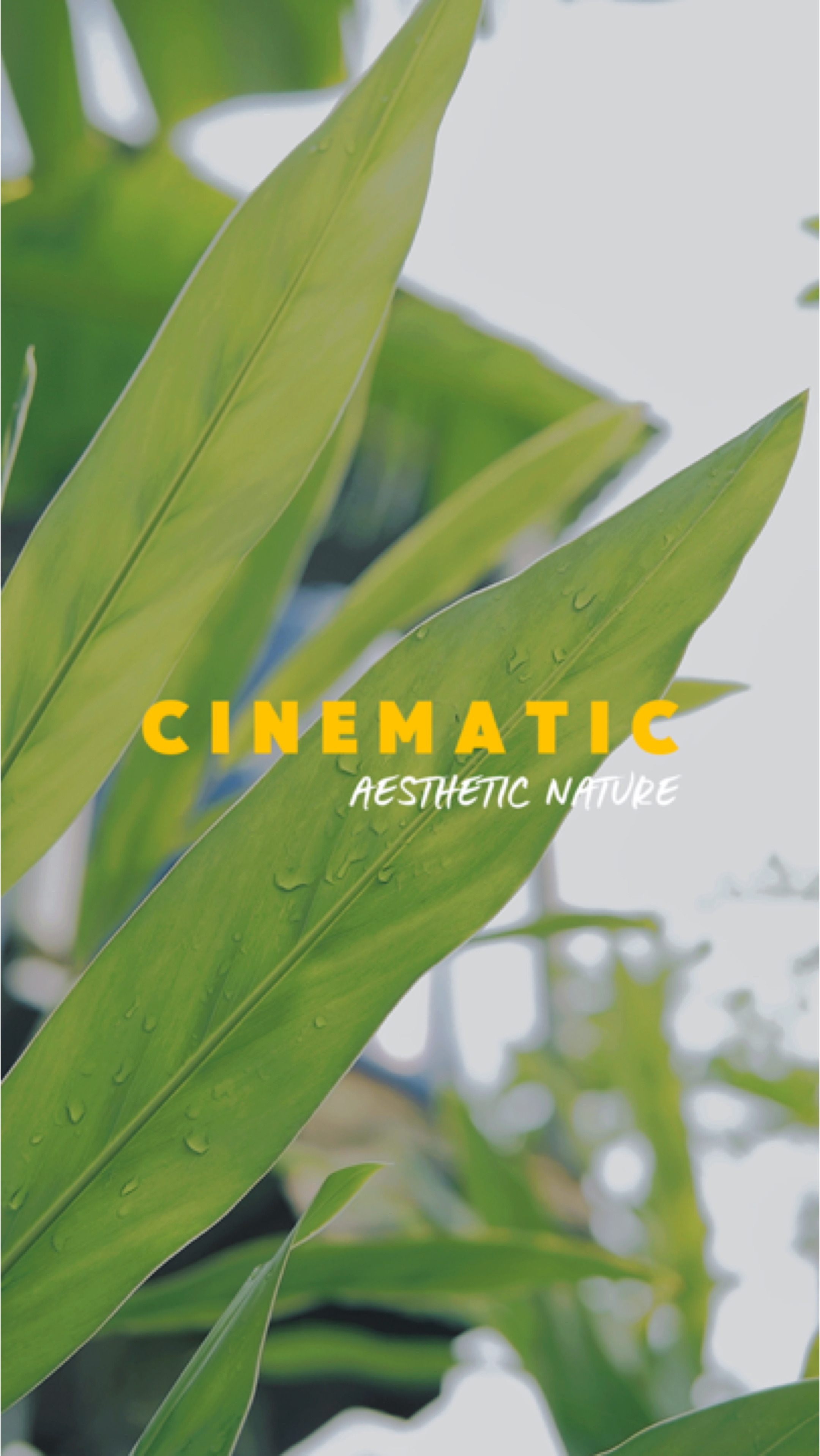 CINEMATIC NATURE HD