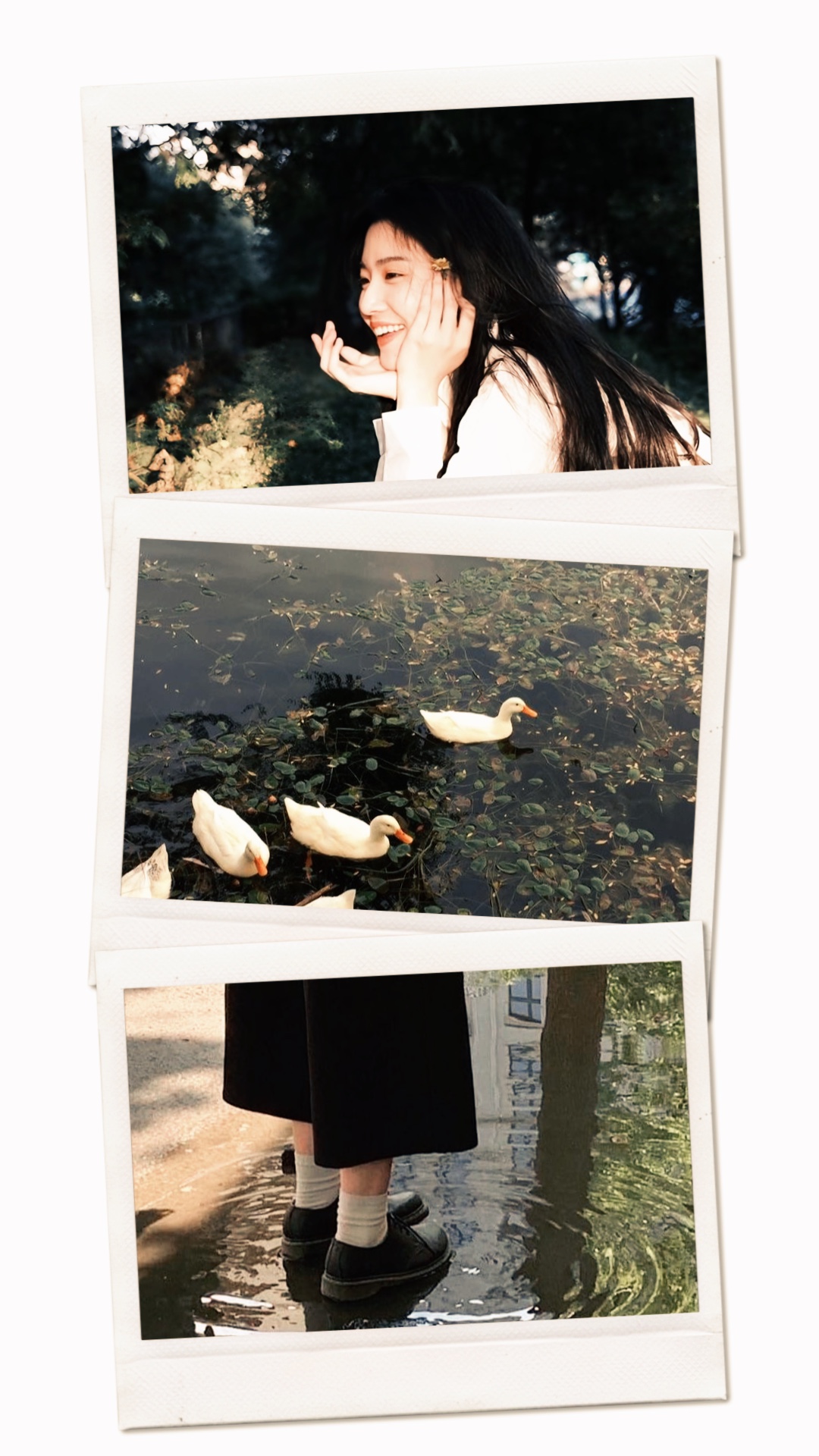 3 polaroid Frame