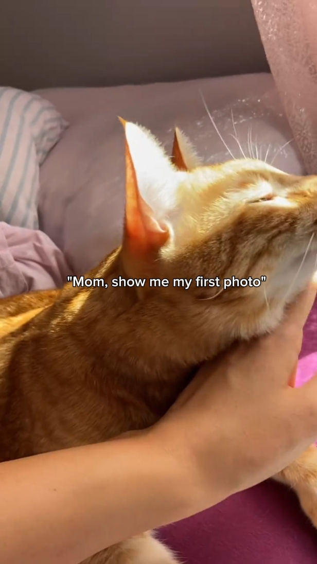 Muéstrame mi primera foto
