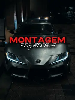 Montagem Pegadora