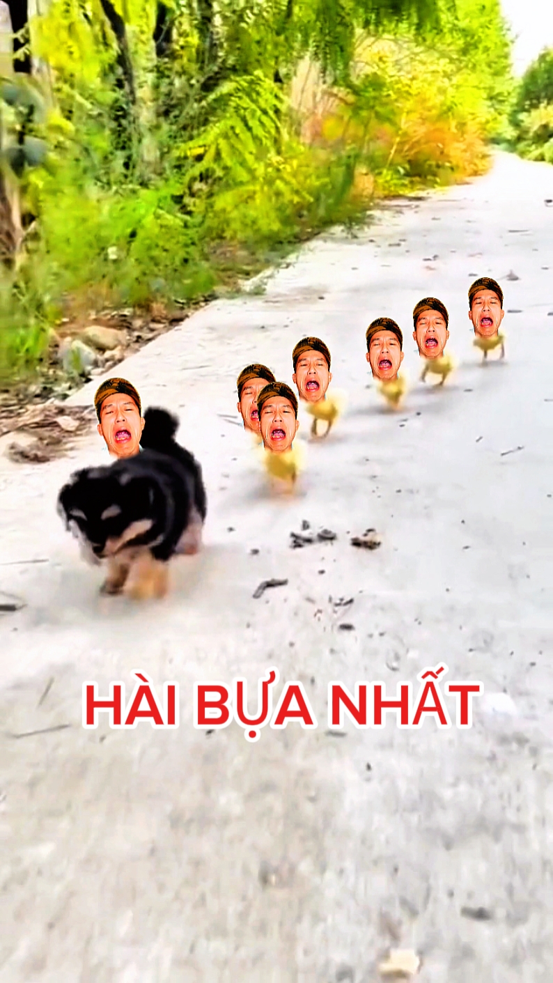 ghép hài hước 