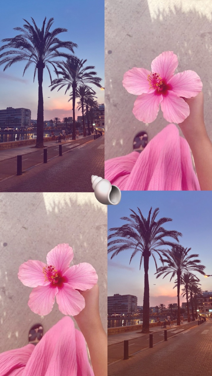 Verano 