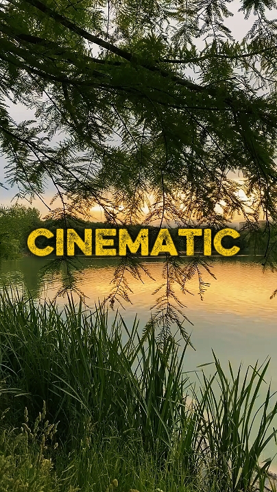 6 Clips Video 