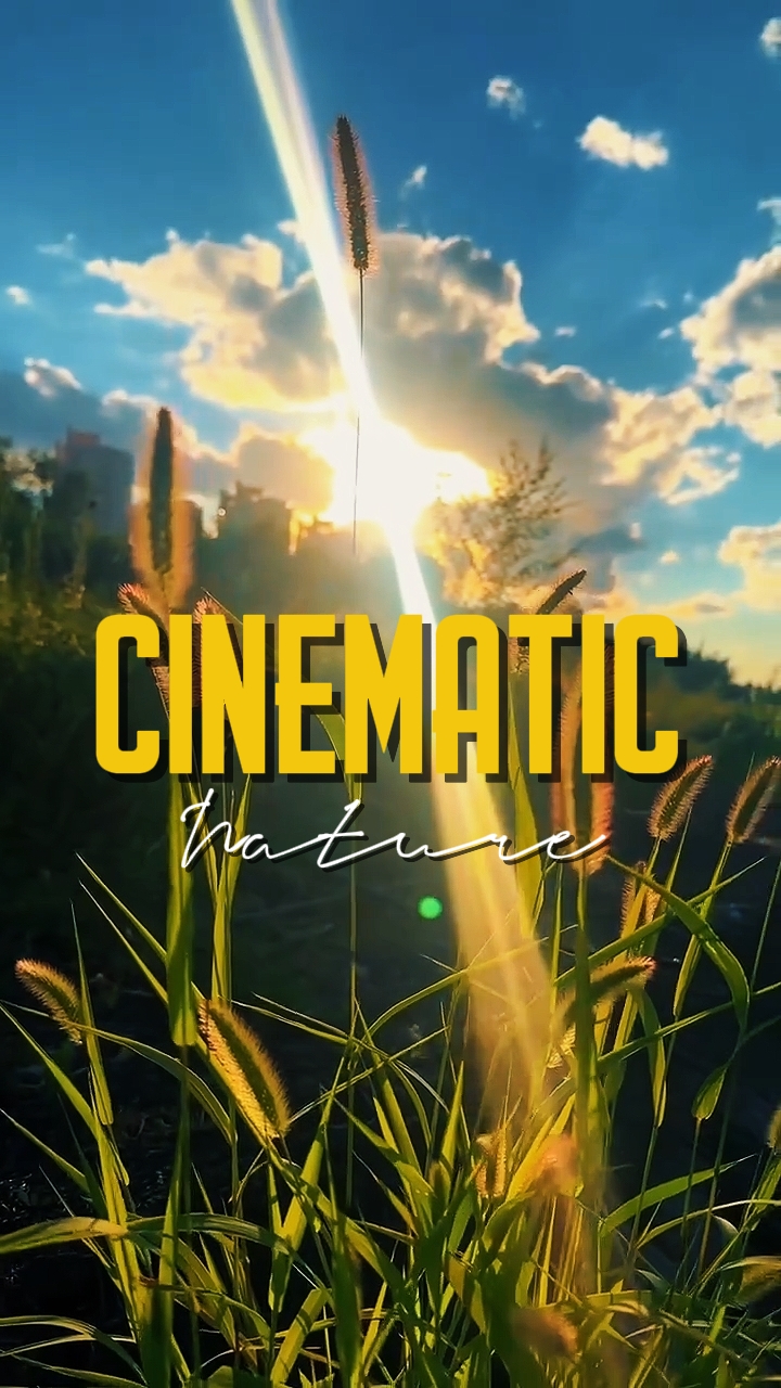 CINEMATIC NATURE 