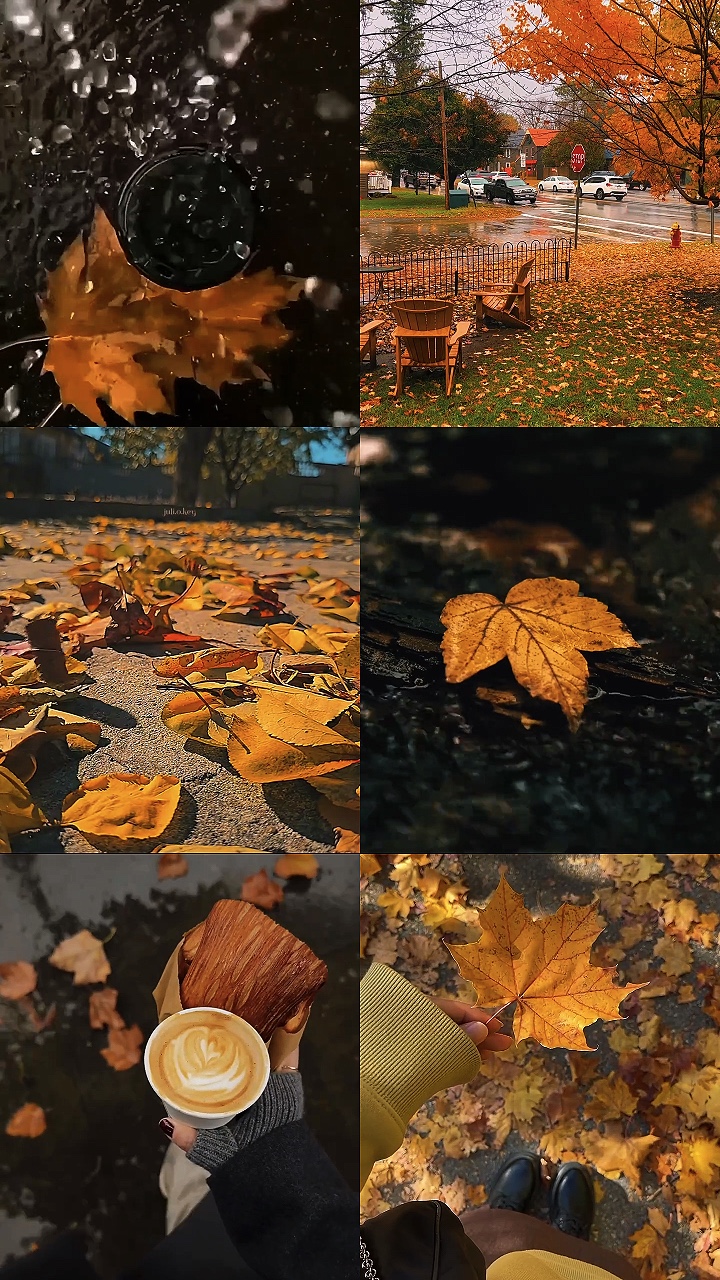 Herbstblätter