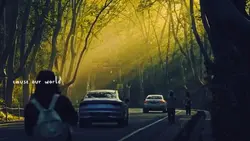 4 videos 
