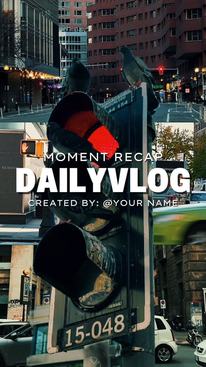 RESUMEN DIARIO DEL VLOG