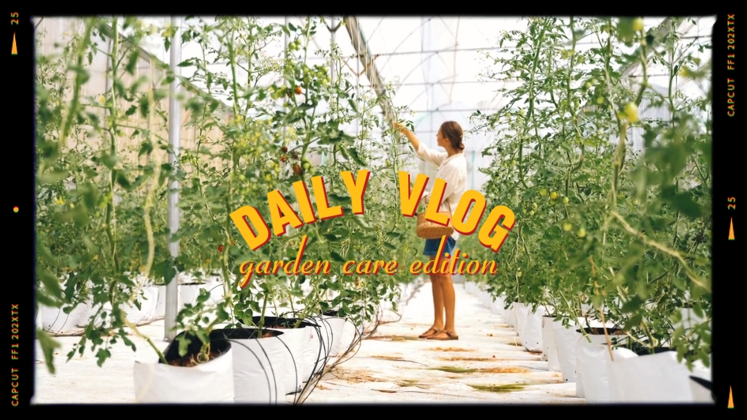 Pang-araw-araw na Vlog Intro