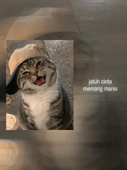 Aesthetic 