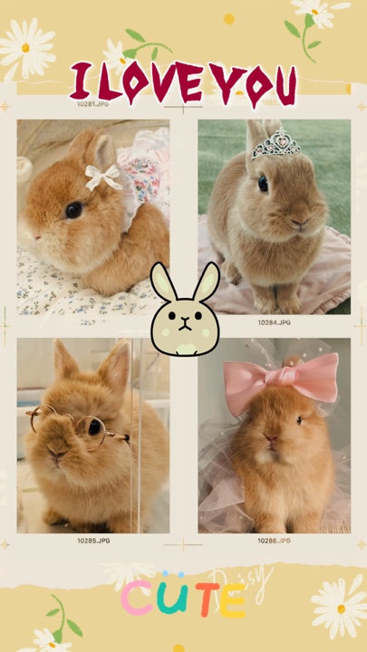 My pet 