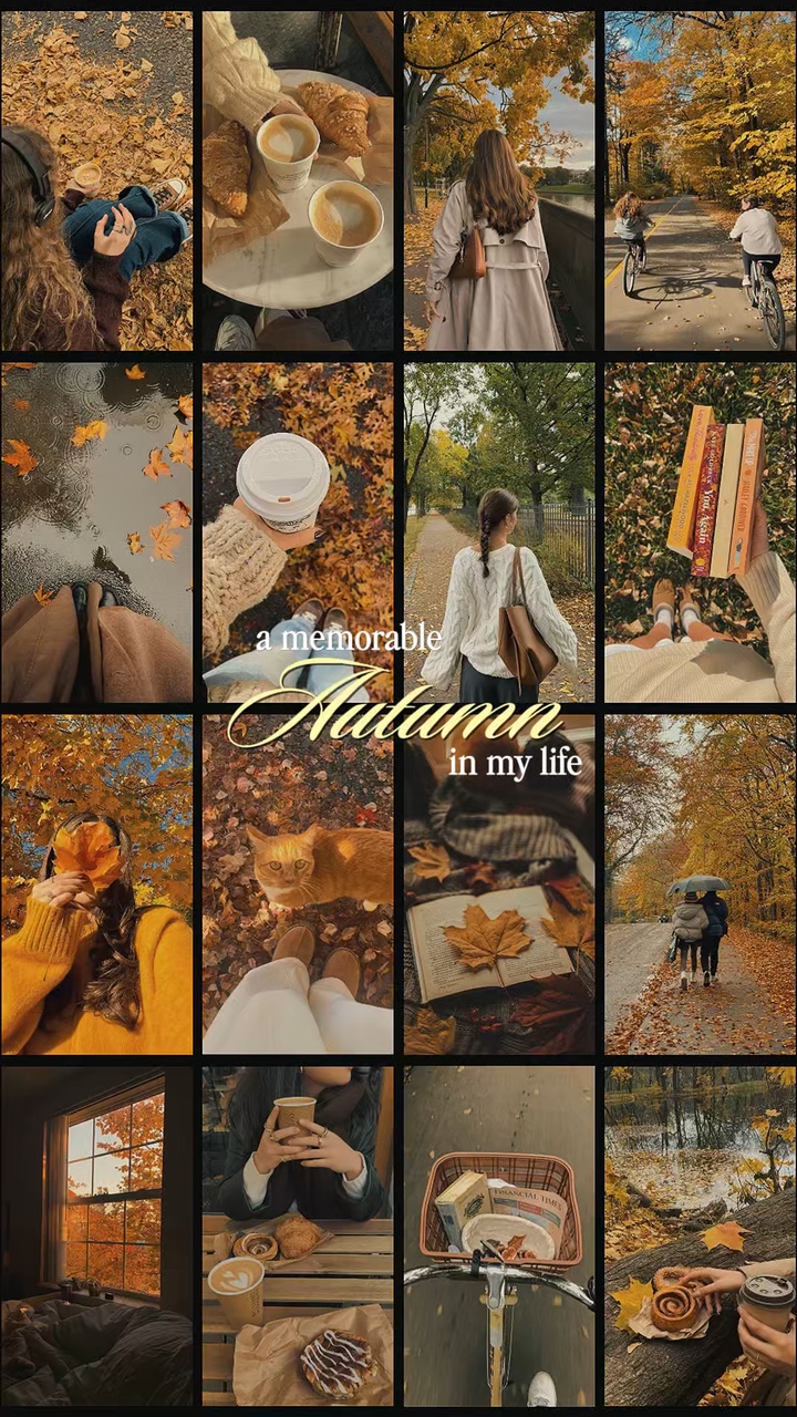 Autumn Memories 🍁