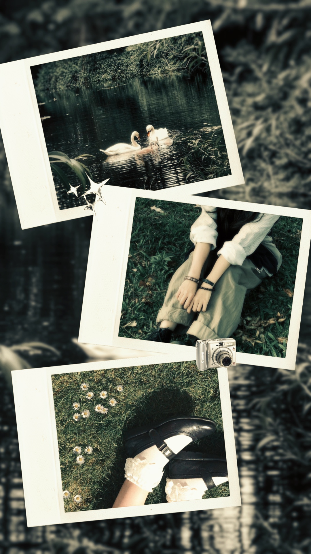 Frame 3 polaroid