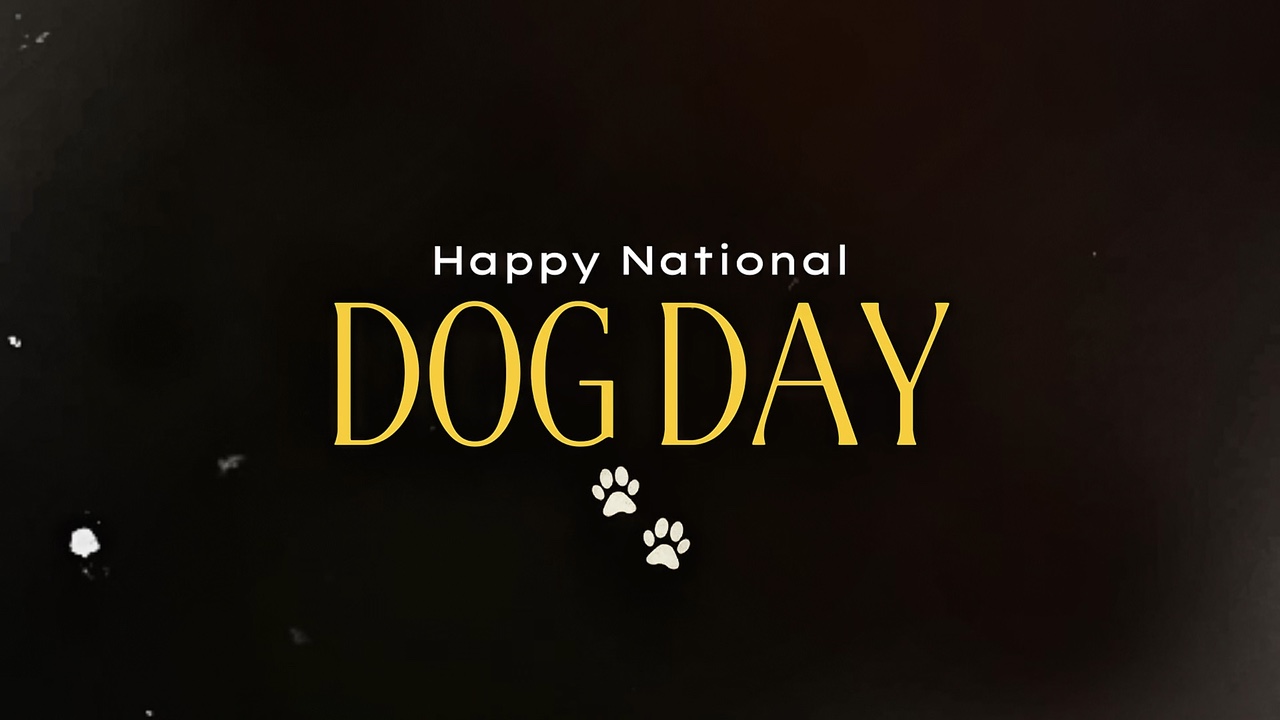 National dog day 