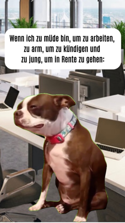 Chien qui pleure meme 