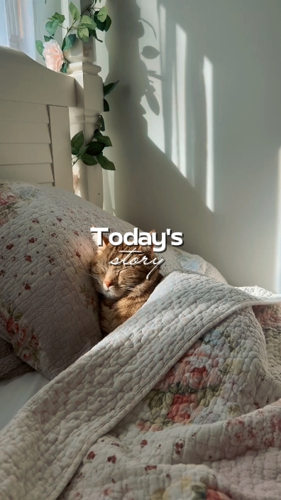 Today's story