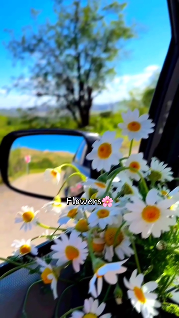 Flowers 1 video 