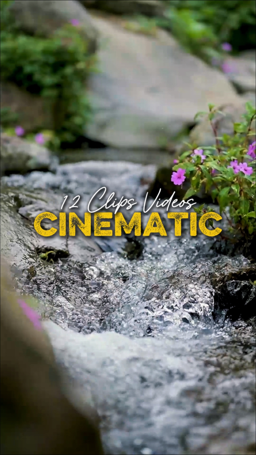 CINÉMATIQUE 12 VIDÉOS