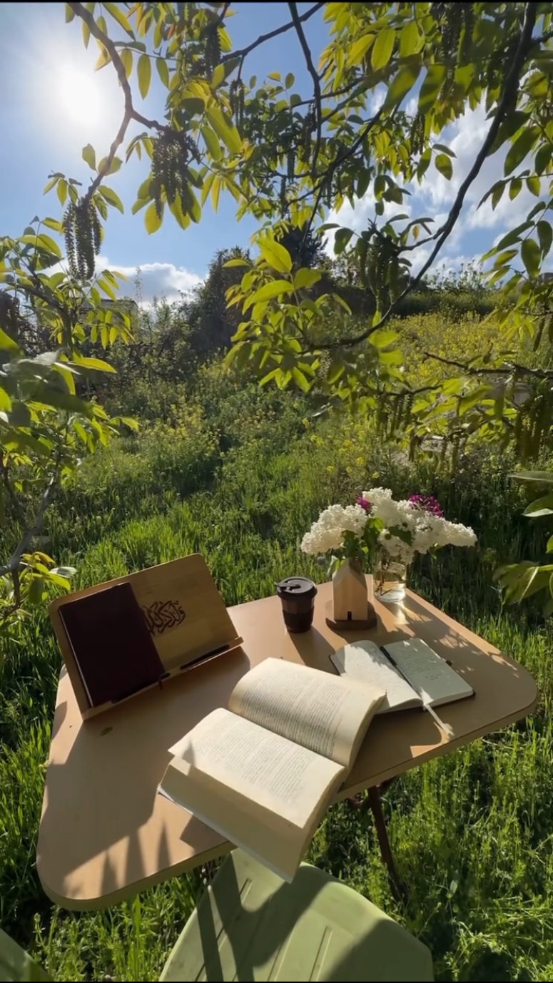 nature aesthetic