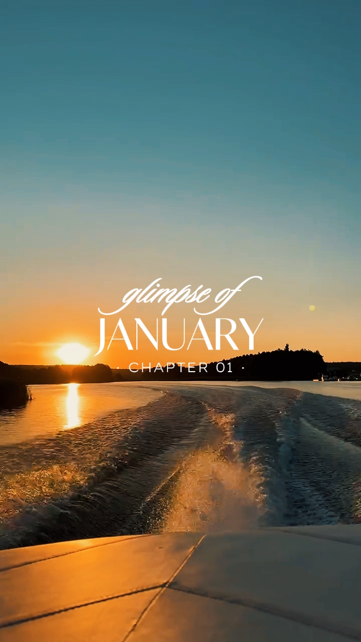 aperçu de janvier