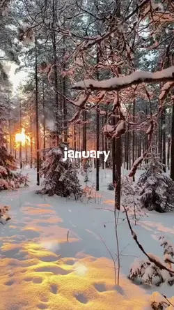 monthly recap