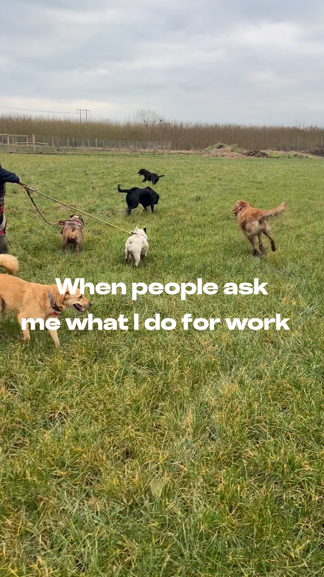 What I do for work 