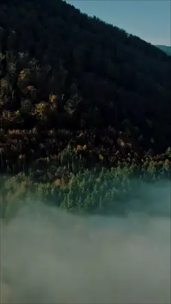 4CLIPS CINEMATIC