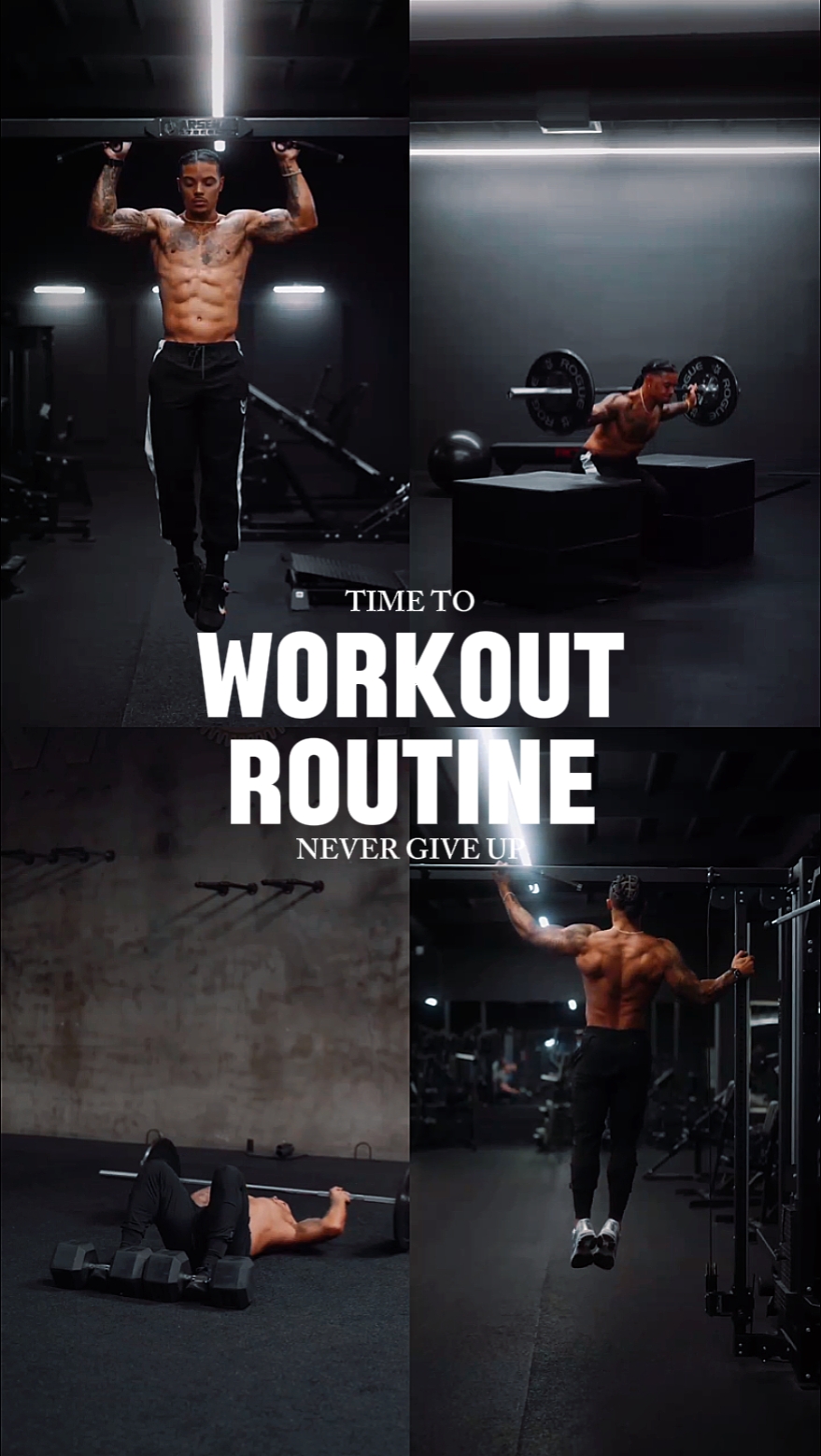 gym pro