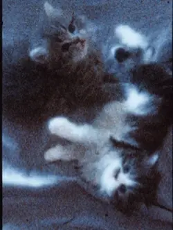 winter filmed in vhs