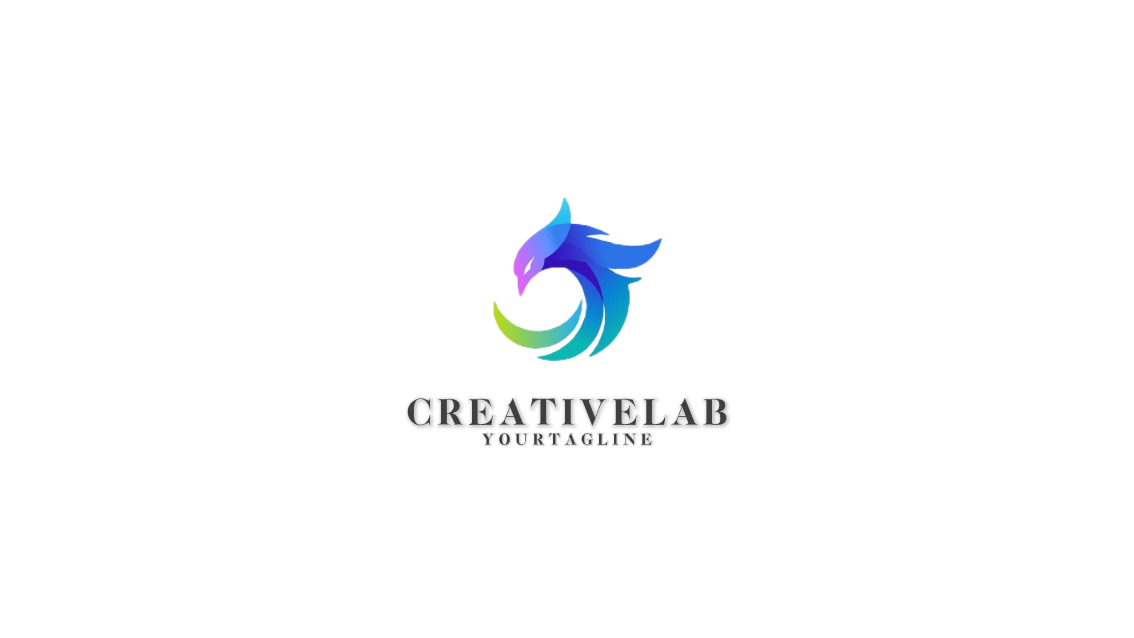 Présentation du logo élégant