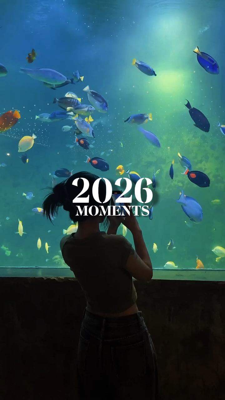 TEMPORADA 2026