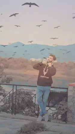 Birds template 