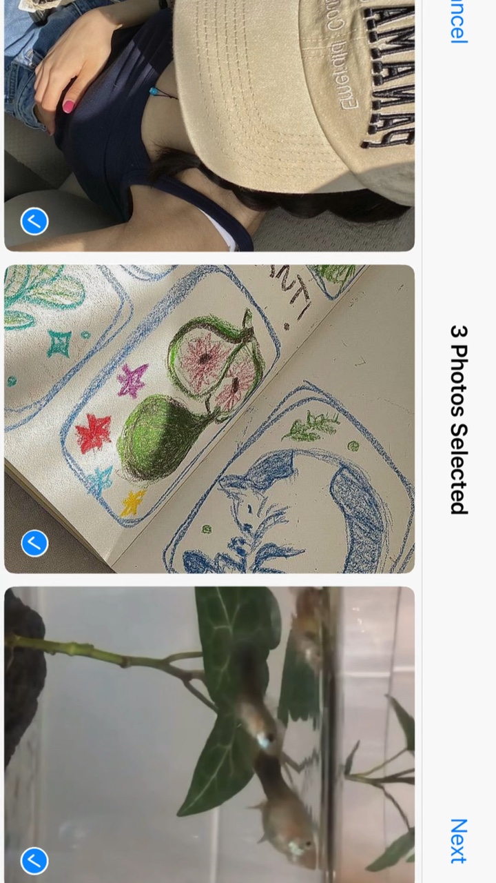 3 pics