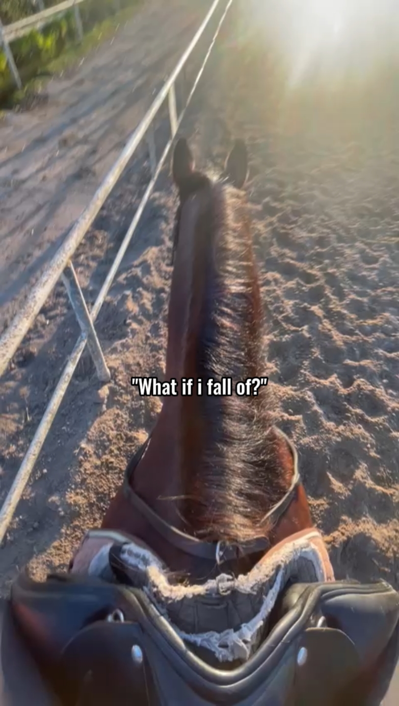 Bumalik sa SADDLE!