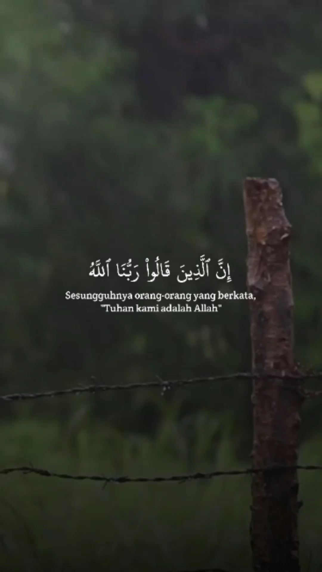 Fussilat ayat 30