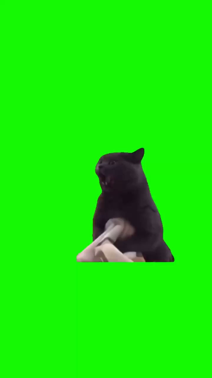 EVIL CAT BITES