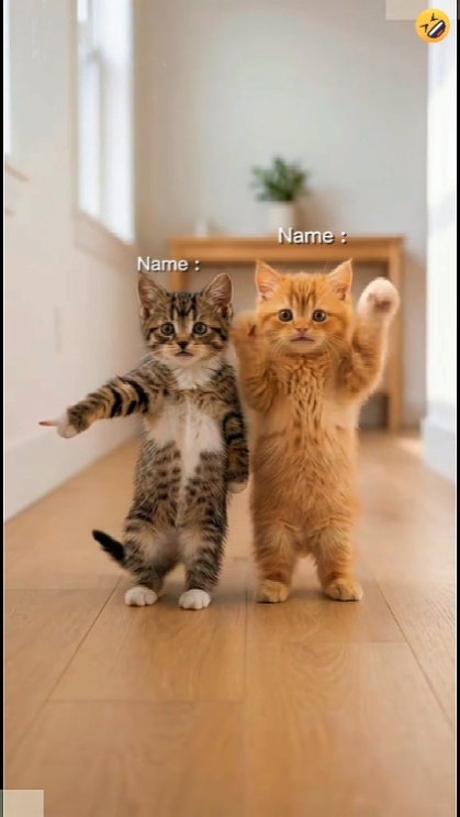Tanzende Katze