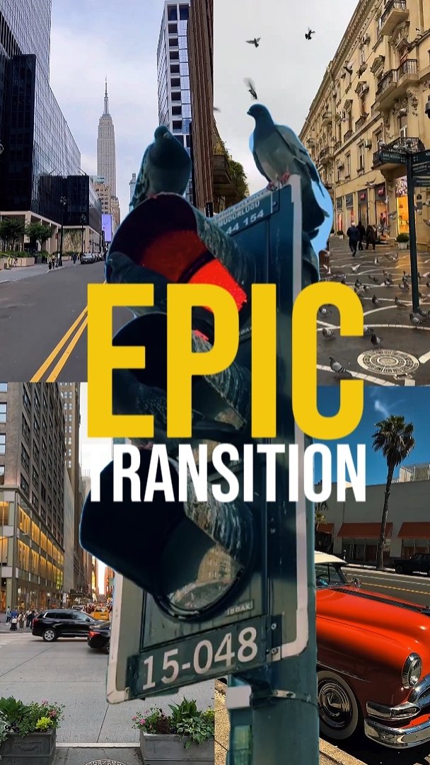 TRANSICIÓN ÉPICA