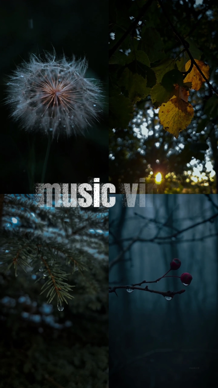 Natureza cinematográfica