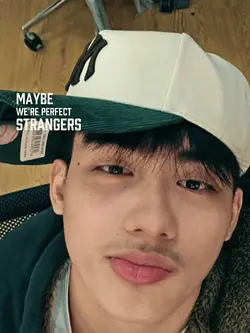 perfect stranger 