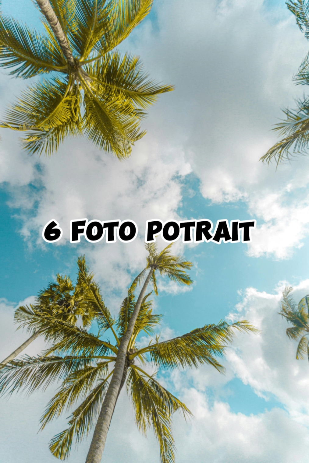 6 fotos de retrato 
