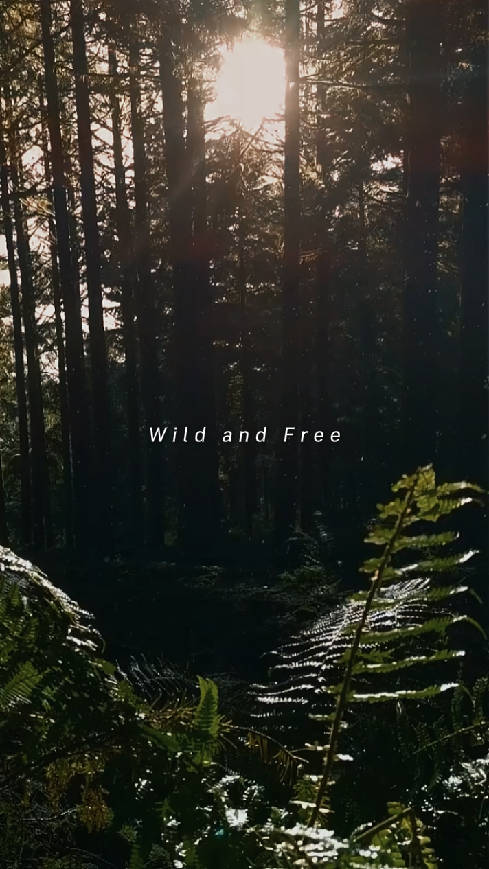 sauvage et libre
