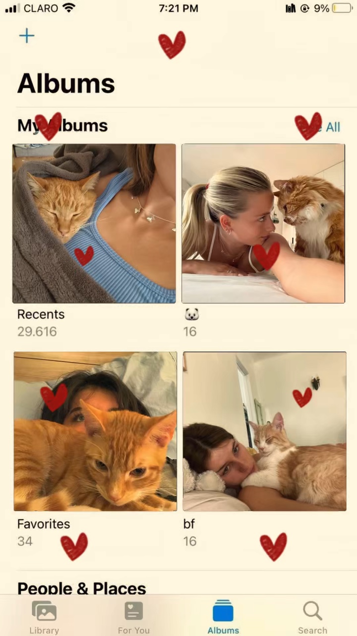 我可爱的小猫