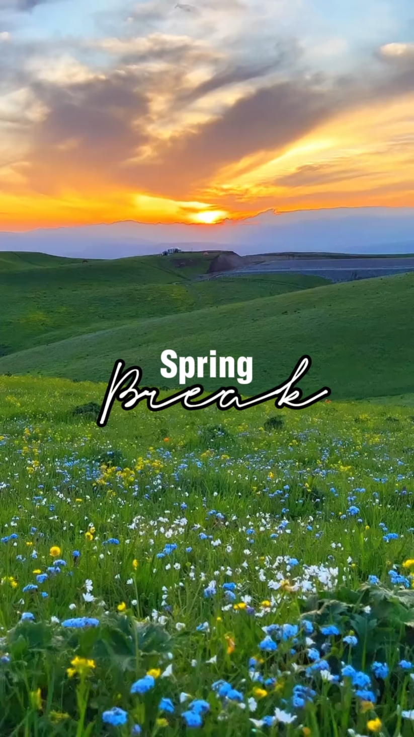 Spring Break