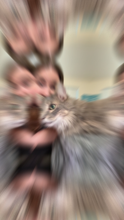 Kkk meu gato