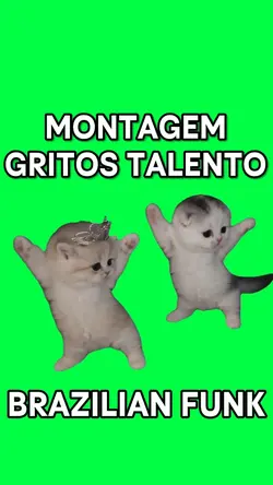 CUTE DANCING KITTENS